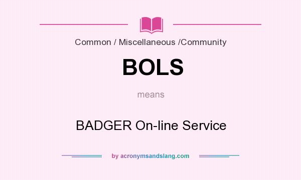 What does BOLS mean? It stands for BADGER On-line Service
