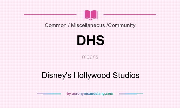 What does DHS mean? It stands for Disney`s Hollywood Studios