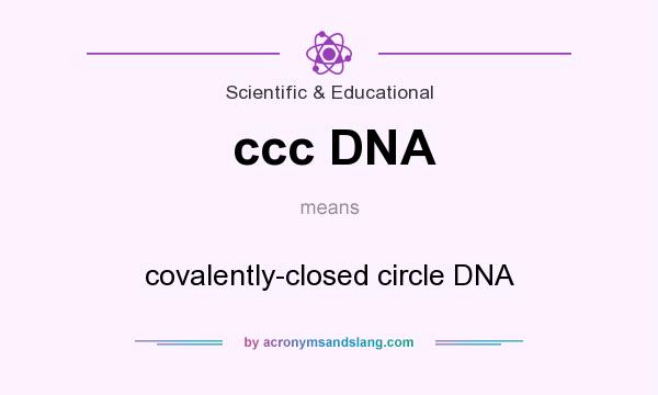 What does ccc DNA mean? It stands for covalently-closed circle DNA