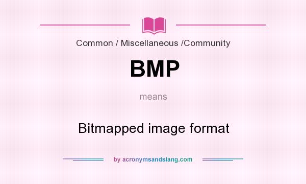 What does BMP mean? It stands for Bitmapped image format