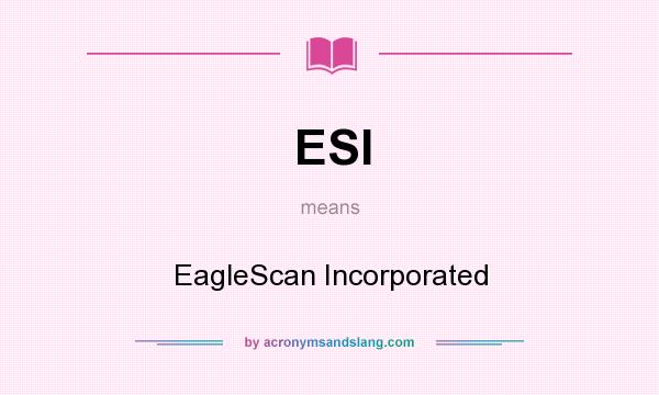 What does ESI mean? It stands for EagleScan Incorporated