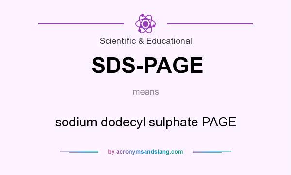 What does SDS-PAGE mean? It stands for sodium dodecyl sulphate PAGE