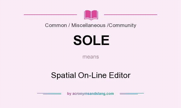 What does SOLE mean? It stands for Spatial On-Line Editor