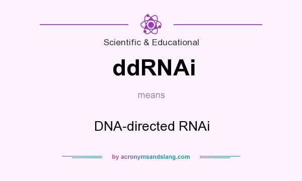 What does ddRNAi mean? It stands for DNA-directed RNAi