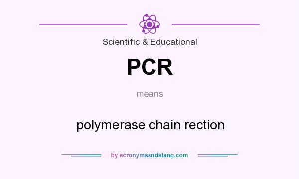 What does PCR mean? It stands for polymerase chain rection