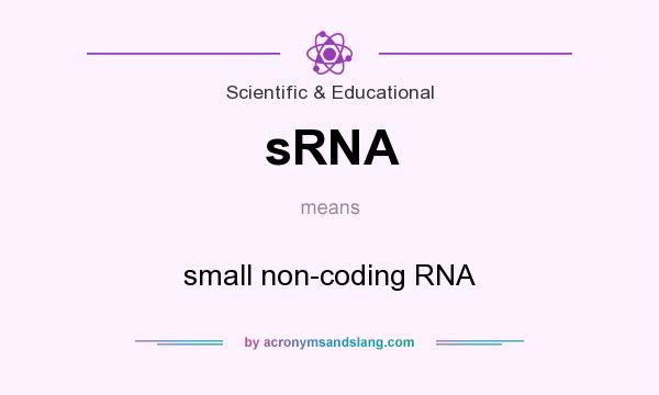 What does sRNA mean? It stands for small non-coding RNA