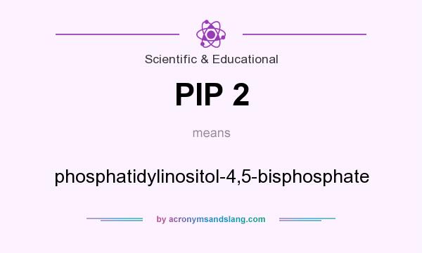 What does PIP 2 mean? It stands for phosphatidylinositol-4,5-bisphosphate