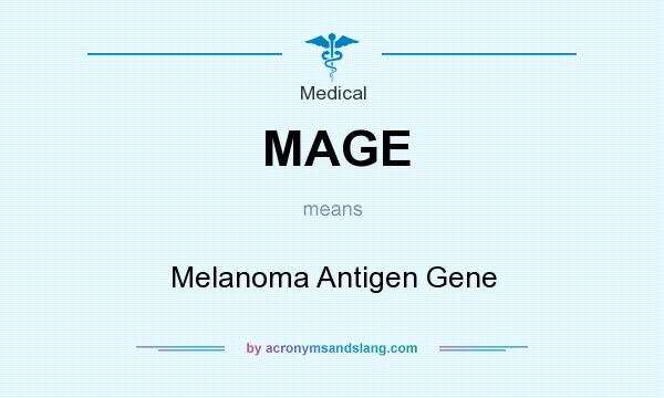 What does MAGE mean? It stands for Melanoma Antigen Gene