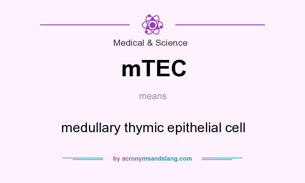 What does mTEC mean? It stands for medullary thymic epithelial cell