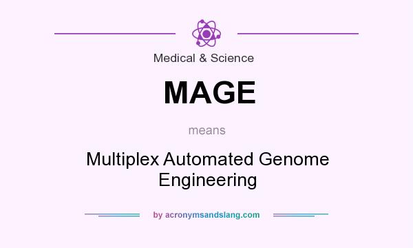 What does MAGE mean? It stands for Multiplex Automated Genome Engineering