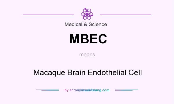 What does MBEC mean? It stands for Macaque Brain Endothelial Cell