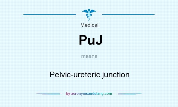What does PuJ mean? It stands for Pelvic-ureteric junction