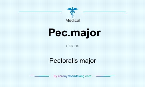 What does Pec.major mean? It stands for Pectoralis major
