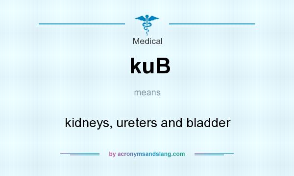 What does kuB mean? It stands for kidneys, ureters and bladder