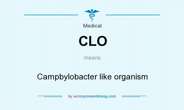 What does CLO mean? It stands for Campbylobacter like organism