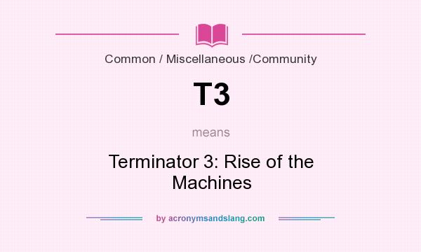 What does T3 mean? It stands for Terminator 3: Rise of the Machines