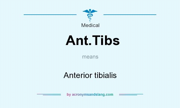 What does Ant.Tibs mean? It stands for Anterior tibialis