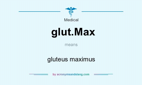 What does glut.Max mean? It stands for gluteus maximus