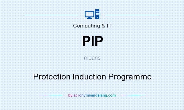 What does PIP mean? It stands for Protection Induction Programme