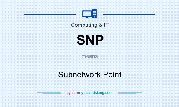 What does SNP mean? It stands for Subnetwork Point