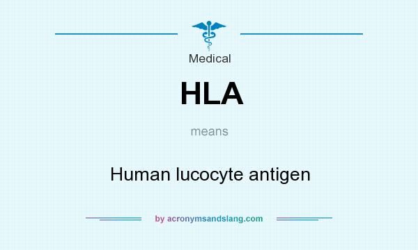 What does HLA mean? It stands for Human lucocyte antigen