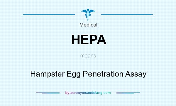 What does HEPA mean? It stands for Hampster Egg Penetration Assay