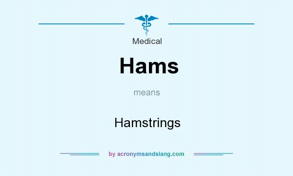 What does Hams mean? It stands for Hamstrings