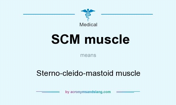 What does SCM muscle mean? It stands for Sterno-cleido-mastoid muscle