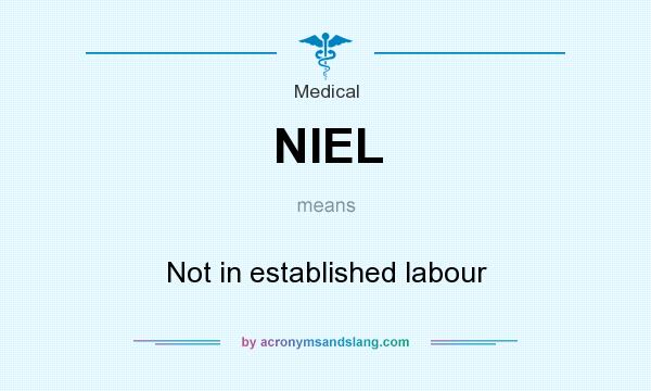What does NIEL mean? It stands for Not in established labour