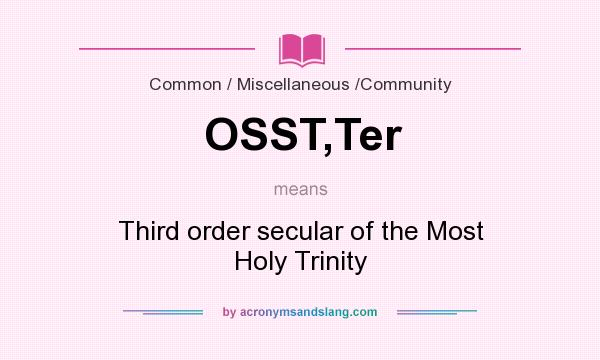 What does OSST,Ter mean? It stands for Third order secular of the Most Holy Trinity