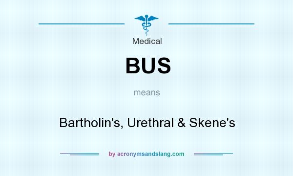 What does BUS mean? It stands for Bartholin`s, Urethral & Skene`s