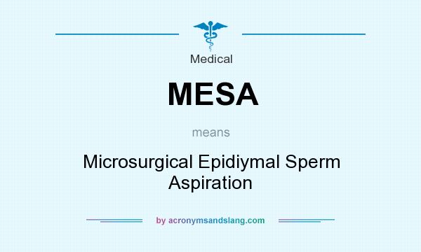 What does MESA mean? It stands for Microsurgical Epidiymal Sperm Aspiration