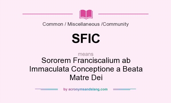 What does SFIC mean? It stands for Sororem Franciscalium ab Immaculata Conceptione a Beata Matre Dei
