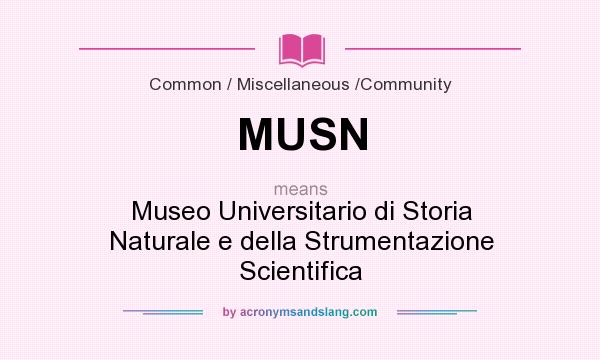 What does MUSN mean? It stands for Museo Universitario di Storia Naturale e della Strumentazione Scientifica