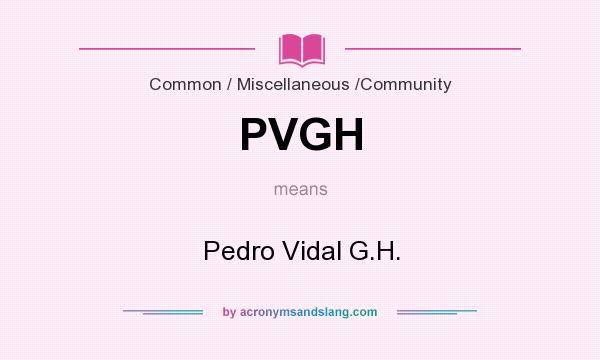 What does PVGH mean? It stands for Pedro Vidal G.H.