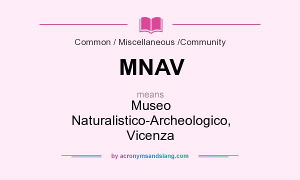 What does MNAV mean? It stands for Museo Naturalistico-Archeologico, Vicenza