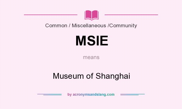 What does MSIE mean? It stands for Museum of Shanghai