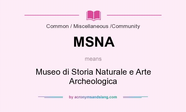 What does MSNA mean? It stands for Museo di Storia Naturale e Arte Archeologica
