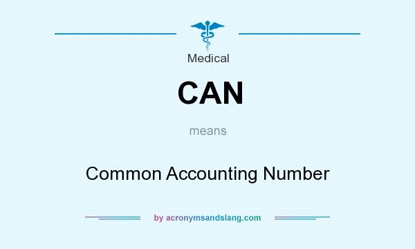 What does CAN mean? It stands for Common Accounting Number
