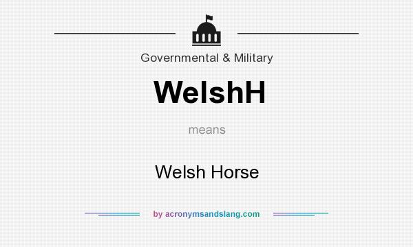 What does WelshH mean? It stands for Welsh Horse
