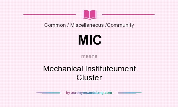 What does MIC mean? It stands for Mechanical Instituteument Cluster