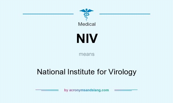 What does NIV mean? It stands for National Institute for Virology