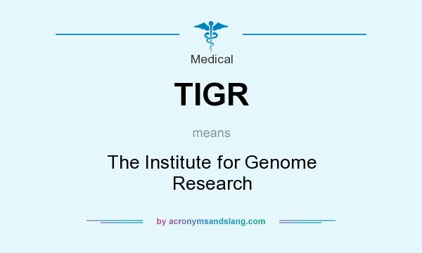 What does TIGR mean? It stands for The Institute for Genome Research