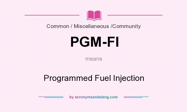 What does PGM-FI mean? It stands for Programmed Fuel Injection