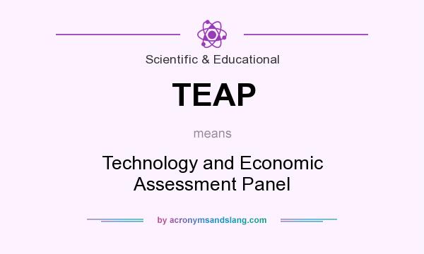 What does TEAP mean? It stands for Technology and Economic Assessment Panel
