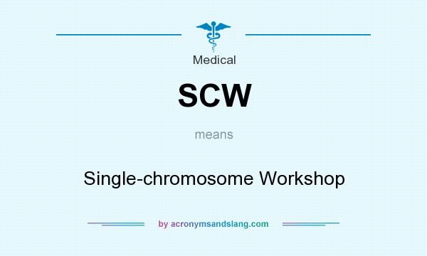 What does SCW mean? It stands for Single-chromosome Workshop
