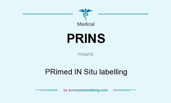 What does PRINS mean? It stands for PRimed IN Situ labelling