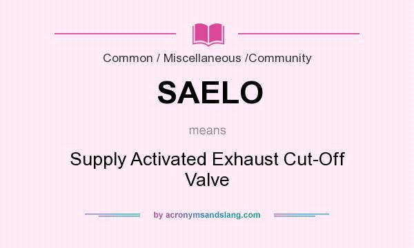 What does SAELO mean? It stands for Supply Activated Exhaust Cut-Off Valve