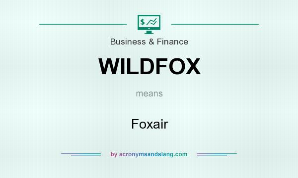 What does WILDFOX mean? It stands for Foxair