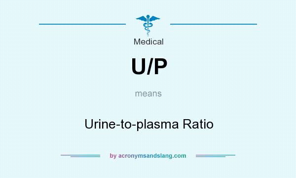 What does U/P mean? It stands for Urine-to-plasma Ratio